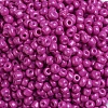 Baking Paint Glass Seed Beads SEED-S003-K21-3