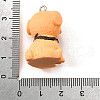 Opaque Resin Pendants CRES-D310-01F-3