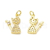 Brass Micro Pave Cubic Zirconia Pendants KK-E068-VB314-1