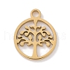 304 Stainless Steel Charms STAS-K286-01D-G-1