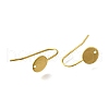 304 Stainless Steel Earring Hooks STAS-B087-09B-G-2
