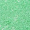 Baking Paint Glass Seed Beads X-SEED-S042-05B-59-3