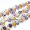 Natural Citrine and Amethyst Beads Strands G-L551C-03-1