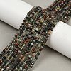 Natural African Bloodstone Beads Strands G-S388-A02-3x4mm-1