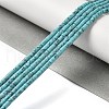 Synthetic Turquoise Beads Strands G-K368-A05-02-2