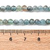 Natural Apatite Beads Strands G-G161-A11-03A-3