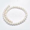 Natural Cultured Freshwater Pearl Beads Strands PEAR-F007-02-01-2