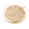 Brass with Clear Cubic Zirconia Pendants KK-N256-24K-G-2