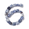 Natural Blue Spot Jasper Beads Strands G-K359-B19-01-3