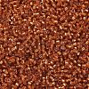 MIYUKI Delica Beads SEED-X0054-DB1333-3