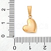 304 Stainless Steel Charms STAS-I127-068G-3