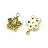 304 Stainless Steel Micro Pave Cubic Zirconia Charms STAS-B088-01G-04-2