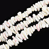 Natural Trochid Shell/Trochus Shell Beads Strands SSHEL-T017-29-1