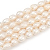 Natural Cultured Freshwater Pearl Beads Strands PEAR-P064-20C-03A-2