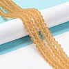 Transparent Glass Beads Strands EGLA-A044-T2mm-MD23-2