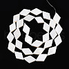 Natural Freshwater Shell Beads Strands SHEL-T020-13H-2