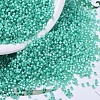 MIYUKI Delica Beads SEED-X0054-DB0627-1