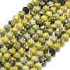 Natural Yellow Turquoise(Jasper) Beads Strands G-P573-A56-01-2