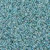MIYUKI Round Rocailles Beads X-SEED-G007-RR0263-4