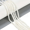 Natural Cultured Freshwater Shell Beads Strands BSHE-H109-03B-2