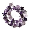 Natural Amethyst Quartz Beads Strands G-NH0005-030-3