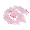Natural Rose Quartz Beads Strands G-I283-D05-2