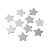 Tarnish Resistant 304 Stainless Steel Pendants STAS-F271-04E-P-1