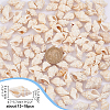 Natural Spiral Shell Beads BSHE-PH0001-03-2