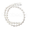 Natural Trochid Shell/Trochus Shell Beads SSHEL-O0001-22B-1