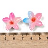 Opaque Resin Enamel Cabochons CRES-D308-09-4