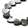Natural Black Lip Shell Beads Strands BSHE-D300-06A-3