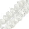 Handmade Lampwork Beads Strands LAMP-T007-13G-1