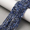 Natural Sodalite Beads Strands G-B142-C02-2x2mm-1