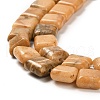 Natural Dolomite Beads Strands G-F765-C02-01-4