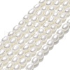 Natural Cultured Freshwater Pearl Beads Strands PEAR-J006-07F-1