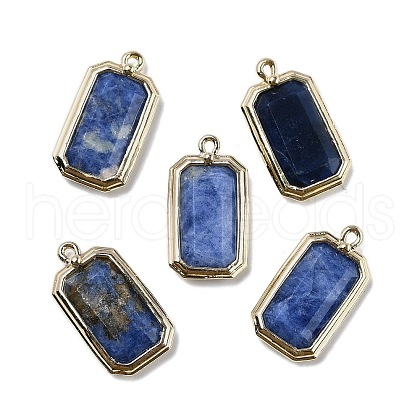 Natural Sodalite Pendants G-U019-04G-03-1
