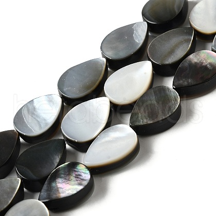 Natural Black Lip Shell Beads Strands BSHE-D300-04A-1