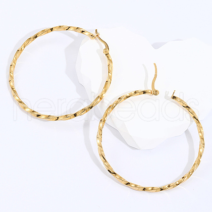 Stainless Steel Hoop Earrings for Women VH1071-1