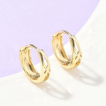 Hollow Brass Hoop Earrings EJEW-Z102-10G-1