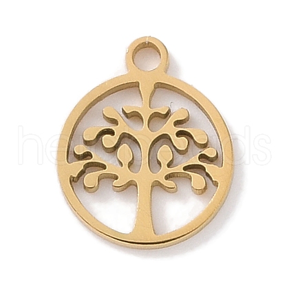 304 Stainless Steel Charms STAS-K286-01D-G-1