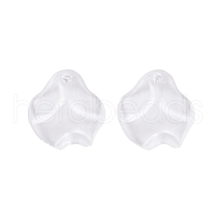 Transparent Acrylic Pendants TACR-G050-01F-1