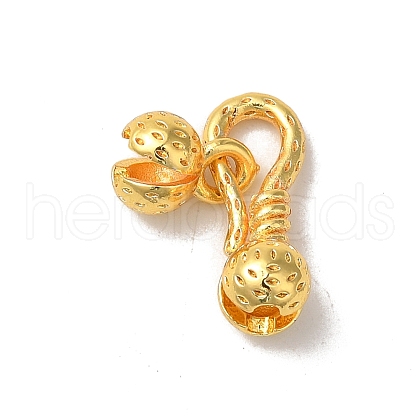 Rack Plating Brass S-Hook Clasps KK-F873-35G-1