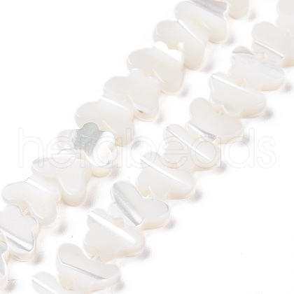 Natural Trochus Shell Beads Strands SSHEL-H070-05-1