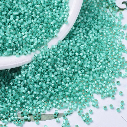 MIYUKI Delica Beads SEED-X0054-DB0627-1
