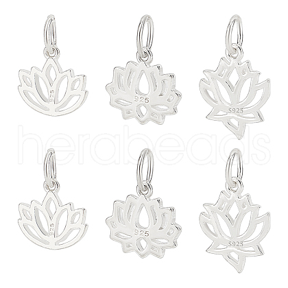   6Pcs 3 Styles 925 Sterling Silver Charms STER-PH0002-86-1