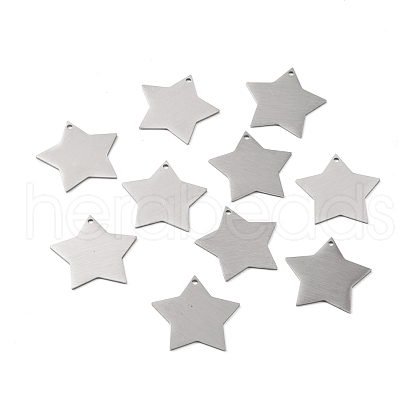 Tarnish Resistant 304 Stainless Steel Pendants STAS-F271-04E-P-1