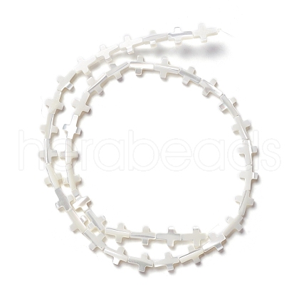 Natural Trochid Shell/Trochus Shell Beads SSHEL-O0001-22B-1