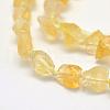 Rough Raw Natural Citrine Beads Strands G-K202-21-3