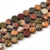 Natural Picasso Jasper/Polychrome Jasper Beads Strands G-N346-06A-04-2