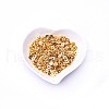 Brass Spacer Beads KK-WH0042-08B-G-2